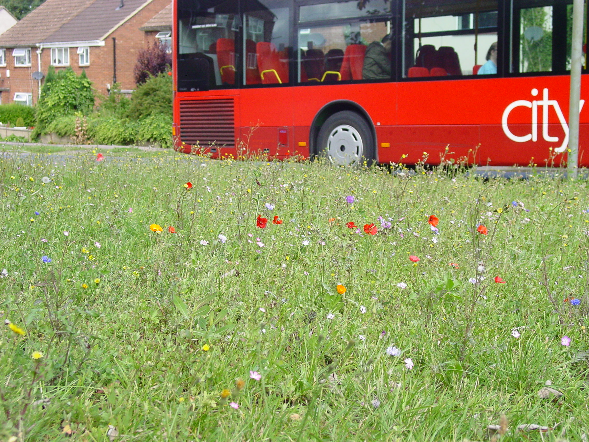 Buss passing Pinnocks meadow